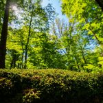 Tag des Wanderns: Von wegen langweilig: Ideen gegen den Wander-Frust