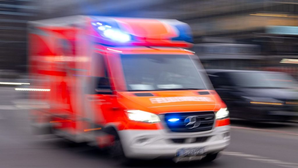 Unfall: Pferd geht in Kutschfahrt-Pause durch - mehrere Verletzte