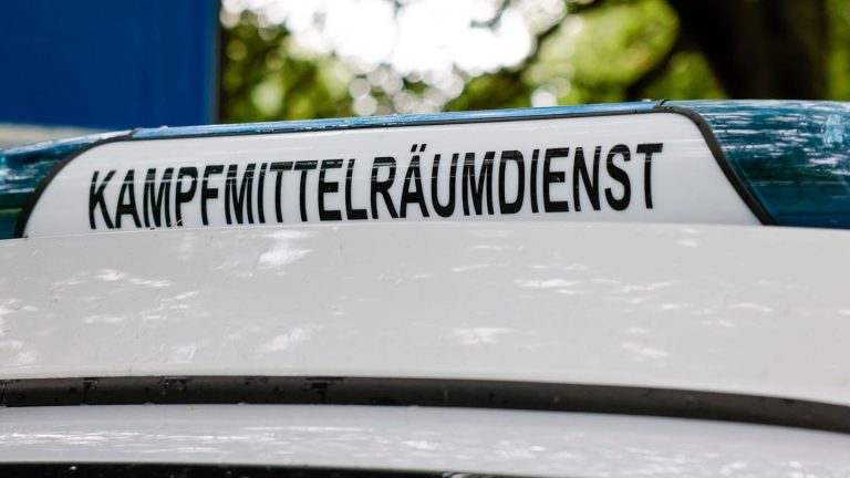 Kampfmittelfund: Erneut Granaten in Homburger Wald entdeckt