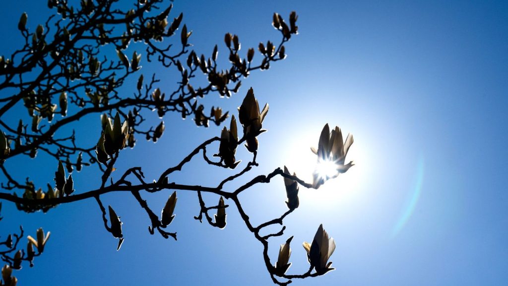 Wetter: Viel Sonne zum Wochenstart in Niedersachsen und Bremen