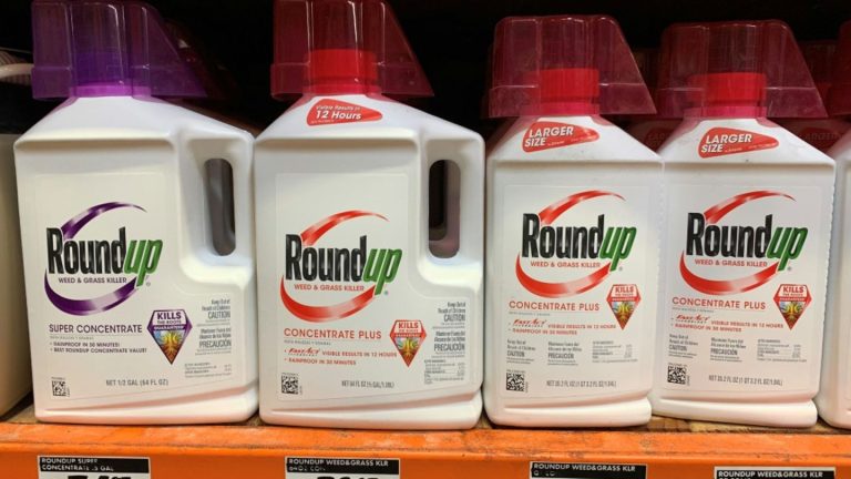 Bayer will Standort in Frankfurt schließen - Einschnitte auch in Dormagen