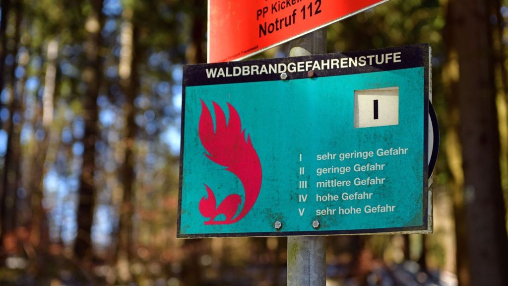 2024 fast 35 Hektar zerstört: Waldbrandgefahr: Frühwarnsysteme in Thüringen unnötig