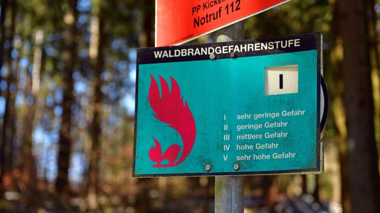 2024 fast 35 Hektar zerstört: Waldbrandgefahr: Frühwarnsysteme in Thüringen unnötig