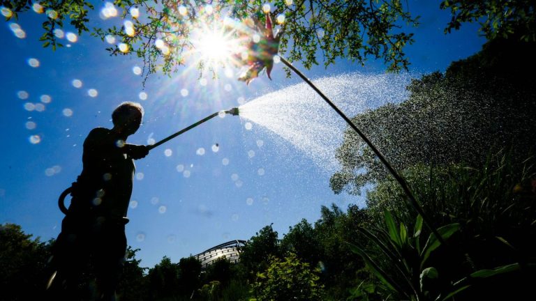 Ressourcenschutz: Region Hannover schränkt Bewässerung im Sommer erneut ein