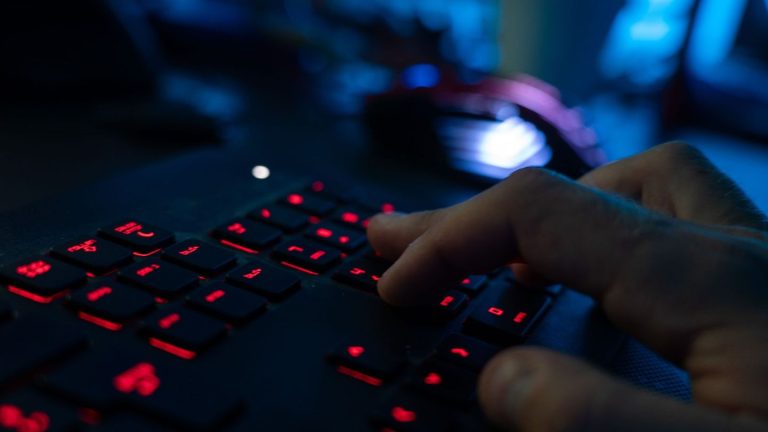 Schäden bis zu 10.000 Euro: Viele Verbraucher fallen auf Fake-Shops im Internet herein