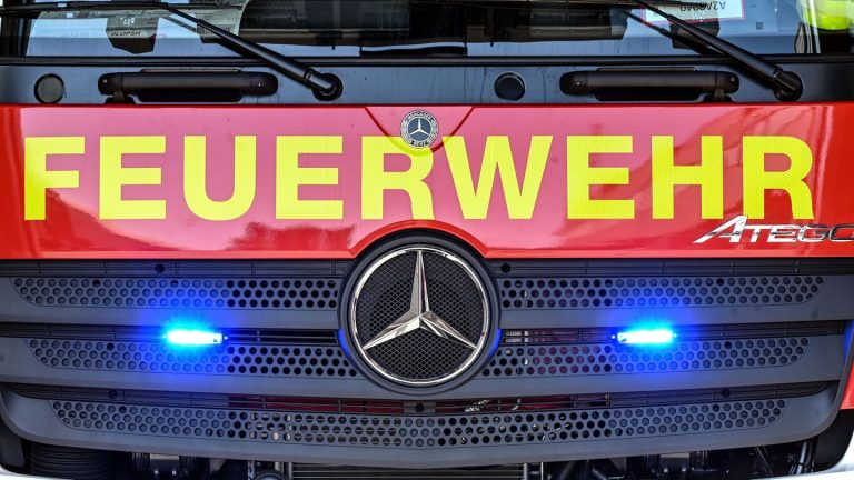 Brände: Feuerwehr löscht Waldbrand bei Großauheim