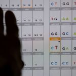 Strafverfolgung: Justiz: Vorstoß zur Ausweitung der DNA-Analyse auf Herkunft