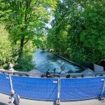 Nach tödlichem Unfall: Münchens OB will Eisbach-Surfen schnell wieder erlauben
