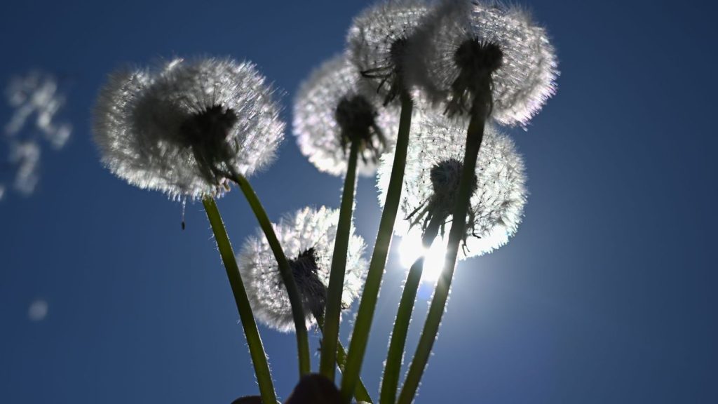 Wetteraussichten: Neue Woche startet mit Temperaturen über 20 Grad
