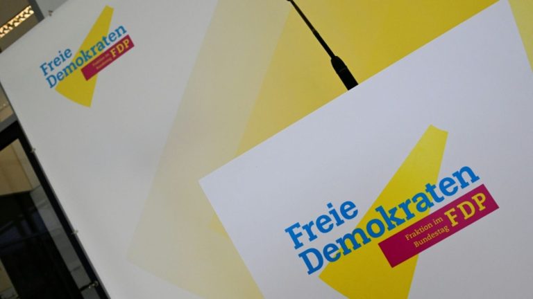 Büttner zur FDP-Generalsekretärin gewählt - Parteitag beschließt Leitantrag