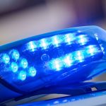 Kriminalität: Brüder mit offenen Haftbefehlen gefasst