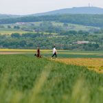 Wetter: Wärmer und sonniger zum Wochenbeginn in Hessen