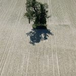 Zunehmende Trockenheit: EU-Kommission ruft zum Wassersparen in Europa auf