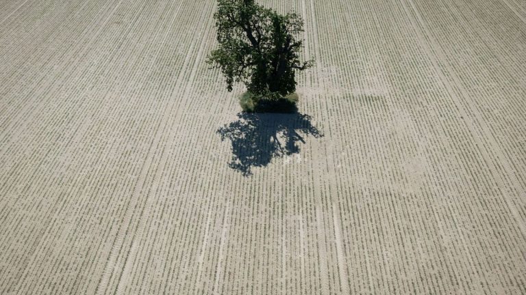 Zunehmende Trockenheit: EU-Kommission ruft zum Wassersparen in Europa auf