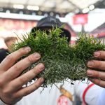 Aus dem Müngersdorfer Stadion: Fans verkaufen Kölner Aufstiegsrasen im Internet