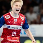Handball-Bundesliga: HSV Hamburg lässt Leipzig keine Chance