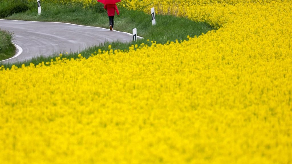 Wetter: Jetzt kommt der Regen