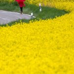 Wetter: Jetzt kommt der Regen