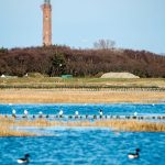 Energieversorgung: Weitere Bohrungen für Stromkabel unter Inseln stehen an