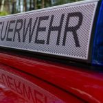 Mann gesucht: Feuer in Wald bei Speyer - Brandstiftung?