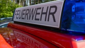 Mann gesucht: Feuer in Wald bei Speyer - Brandstiftung?