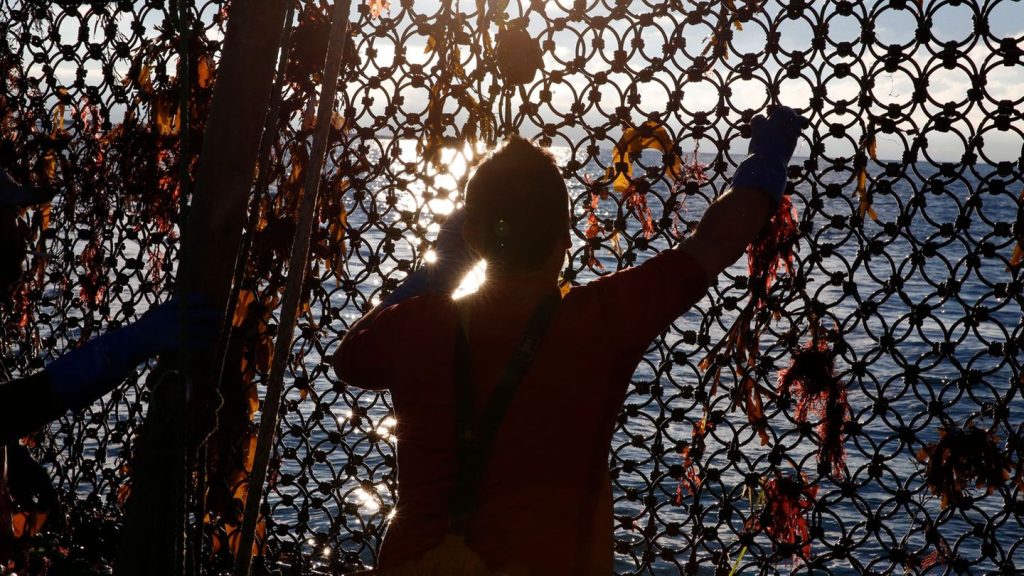 Agrar: Fischereiexperte: Einigung mit London bietet Sicherheit
