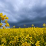 Vorhersage: Schauer, Wolken, Abkühlung: Wechselhaftes Wetter in Hessen