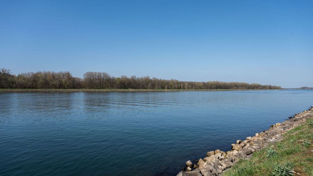 Umwelt: Wasserwerke wegen Chemikalien-Belastung im Rhein alarmiert