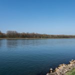 Umwelt: Wasserwerke wegen Chemikalien-Belastung im Rhein alarmiert