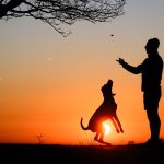 Geliebte Fellnasen: Sind Hunde die besseren Kinder? In bestimmter Hinsicht schon