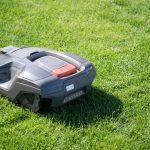 Zum Schutz von Igeln: Erste Kommunen wollen nächtliches Verbot für Mähroboter