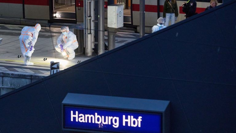 Gewalttat: Verkehr im Hamburger Hauptbahnhof wieder normal