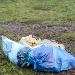 Großer Aufwand und Kosten: Kommunaler Spitzenverband: Mehr Hilfe gegen illegalen Müll