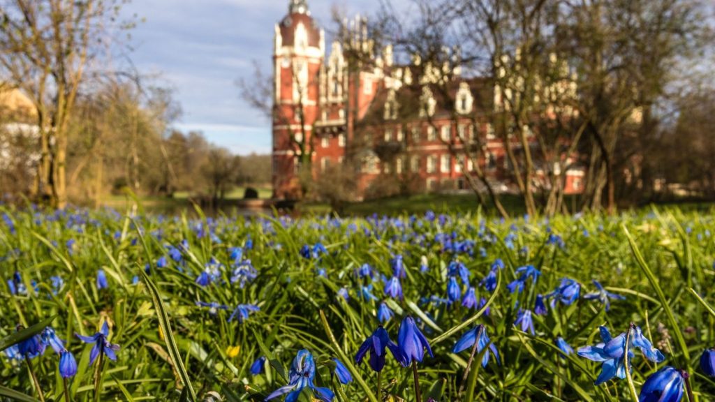 Gefeierter Unesco-Titel: Muskauer Park über Landesgrenze hinweg wiederhergestellt