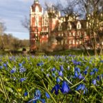 Gefeierter Unesco-Titel: Muskauer Park über Landesgrenze hinweg wiederhergestellt