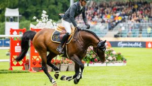 Pferdesport: Niederländer Smolders siegt im Championat von Hamburg