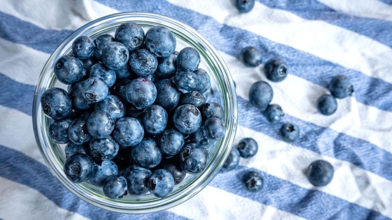 Blaues Wunder: Die Heidelbeere, die Kim Kardashian des Obstkorbs