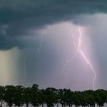 Unwetter: Bäume auf Gleisen - Regionalzugstrecken gesperrt