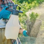 Kraut & Dübel: 46 Prozent Rabatt auf XenTari Bio Spritzpulver: Top Garten Angebote am Donnerstag