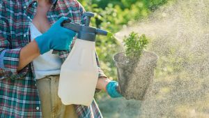 Kraut & Dübel: 46 Prozent Rabatt auf XenTari Bio Spritzpulver: Top Garten Angebote am Mittwoch