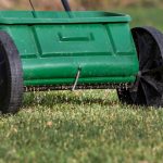 Kraut & Dübel: Bio Rasendünger zum halben Preis: Top Garten-Deals am Dienstag