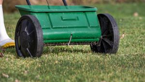 Kraut & Dübel: Bio Rasendünger zum halben Preis: Top Garten Angebote am Mittwoch
