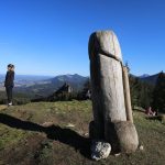 Bayern: Zwei Meter hoher Holzpenis sorgt für nächtlichen Polizeieinsatz