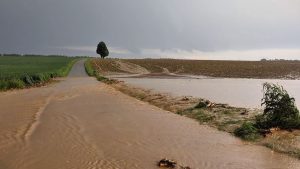 Viele Notrufe: Unwetter: viele Notrufe, Verletzte durch Hagel