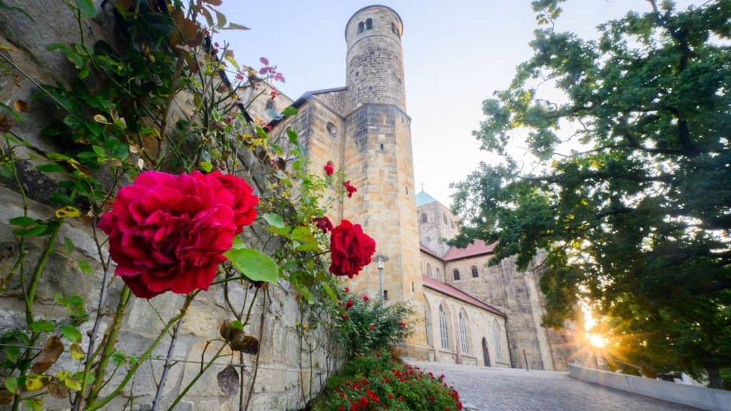 Programm in Welterbestätten: Kultur und Natur - Unesco lädt zum Welterbetag ein