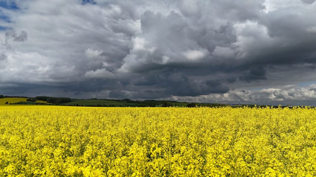 Wettervorhersage: Wetter in Thüringen: Gewitter lassen vorerst nach