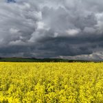 Wettervorhersage: Wetter in Thüringen: Gewitter lassen vorerst nach