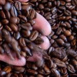 Ernteausfälle: Kaffeepreis steigt deutlich stärker als die Inflation