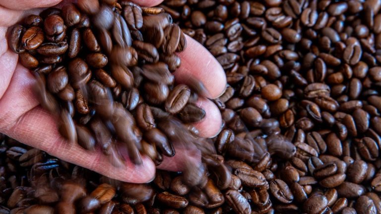 Ernteausfälle: Kaffeepreis steigt deutlich stärker als die Inflation