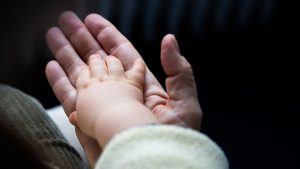 Bevölkerung: So viele Menschen in Rheinland-Pfalz wie nie zuvor